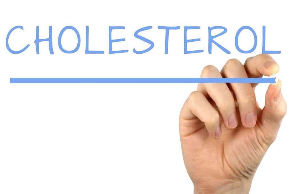 Vet bevriezen door cryolipolyse, werkt dat echt? 6 Vetcellen-bevriezen-verhoogd-niet-cholesterol