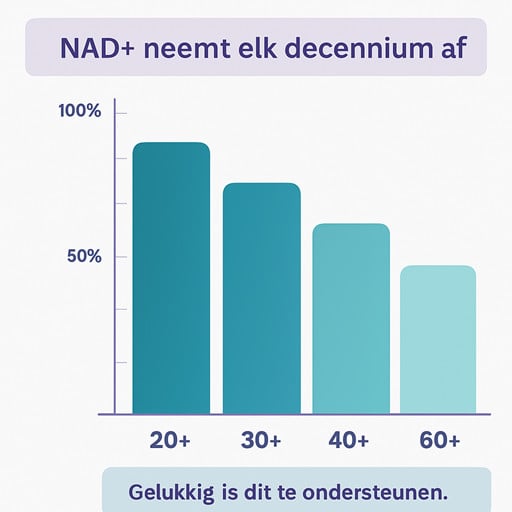 Voorkome NAD afname elke 10 jaar met NMN