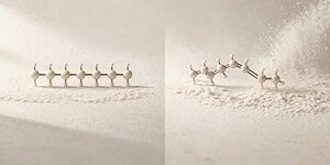 Moleculen van verzadigde en onverzadigde vetzuren op zand.